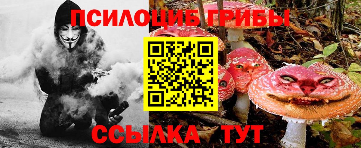 Лыткарино  Псилоцибиновые грибы прущие грибы  Вход с VPN 