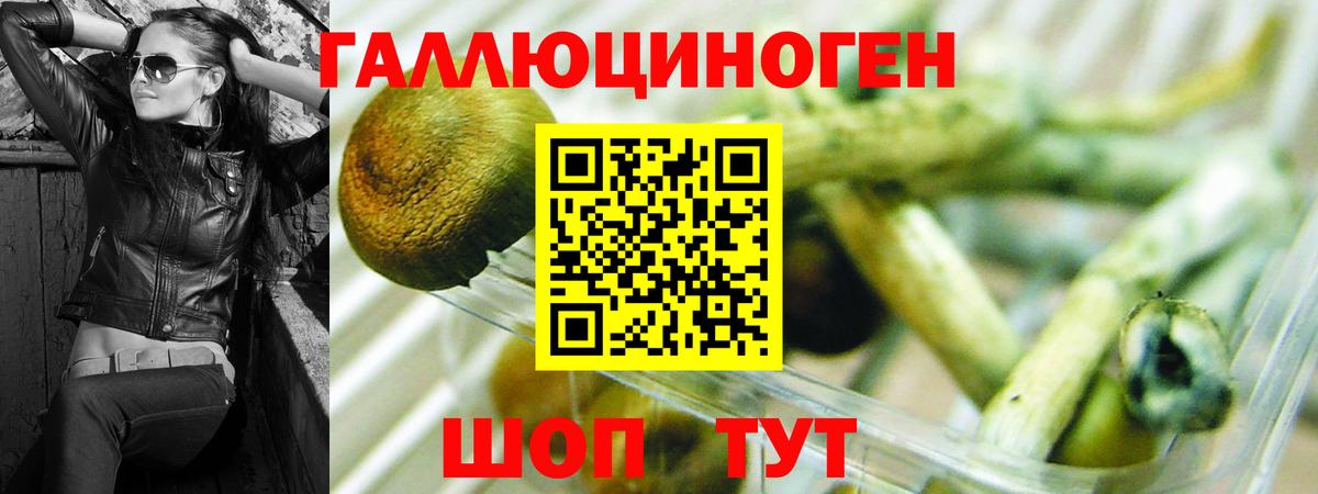 Псилоцибиновые грибы GOLDEN TEACHER Лыткарино